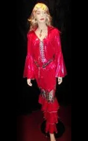 Pink Abba Costume